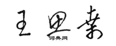 駱恆光王思桑草書個性簽名怎么寫