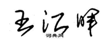 朱錫榮王江暉草書個性簽名怎么寫