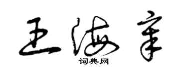 曾慶福王海章草書個性簽名怎么寫