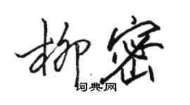 駱恆光柳密行書個性簽名怎么寫