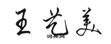 駱恆光王藝美行書個性簽名怎么寫