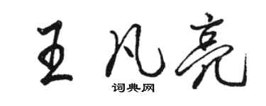 駱恆光王凡亮行書個性簽名怎么寫