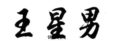 胡問遂王星男行書個性簽名怎么寫