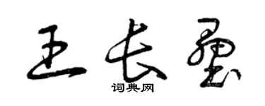 曾慶福王長壘草書個性簽名怎么寫