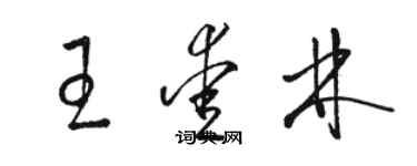 駱恆光王愛林草書個性簽名怎么寫