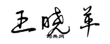 曾慶福王曉革草書個性簽名怎么寫