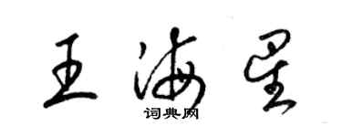 梁錦英王海星草書個性簽名怎么寫