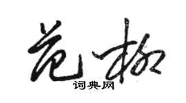 駱恆光范柳草書個性簽名怎么寫