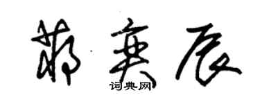 朱錫榮蔣奕辰草書個性簽名怎么寫