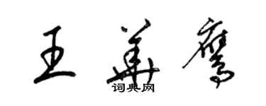 梁錦英王華鷹草書個性簽名怎么寫