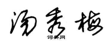 朱錫榮湯秀梅草書個性簽名怎么寫