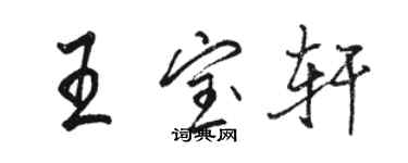 駱恆光王寶軒行書個性簽名怎么寫