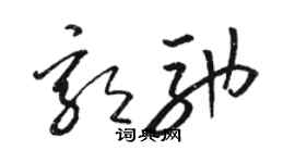 駱恆光郭馳草書個性簽名怎么寫