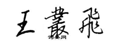 王正良王叢飛行書個性簽名怎么寫