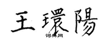 何伯昌王環陽楷書個性簽名怎么寫