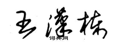 朱錫榮王漢棟草書個性簽名怎么寫