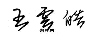 朱錫榮王雲皓草書個性簽名怎么寫