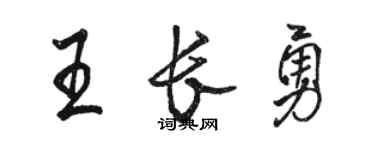 駱恆光王長勇行書個性簽名怎么寫