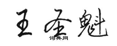 駱恆光王聖魁行書個性簽名怎么寫