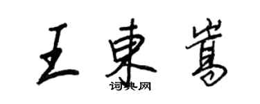 王正良王東嵩行書個性簽名怎么寫