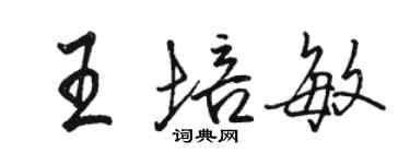 駱恆光王培敏行書個性簽名怎么寫