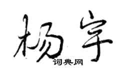 曾慶福楊宇行書個性簽名怎么寫