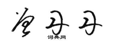 駱恆光曾丹丹草書個性簽名怎么寫