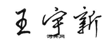 駱恆光王宇新行書個性簽名怎么寫