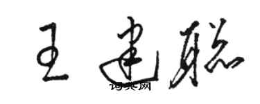 駱恆光王建聰草書個性簽名怎么寫
