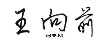 駱恆光王向前行書個性簽名怎么寫