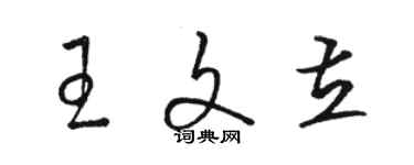 駱恆光王文立草書個性簽名怎么寫