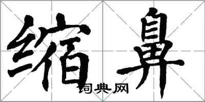 翁闓運縮鼻楷書怎么寫