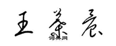 梁錦英王葉晨草書個性簽名怎么寫