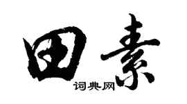 胡問遂田素行書個性簽名怎么寫