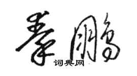 駱恆光秦鵬草書個性簽名怎么寫