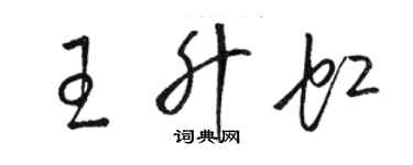 駱恆光王升虹草書個性簽名怎么寫