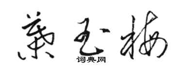 駱恆光葉玉梅草書個性簽名怎么寫