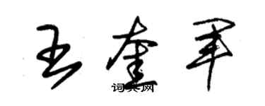 朱錫榮王奎軍草書個性簽名怎么寫