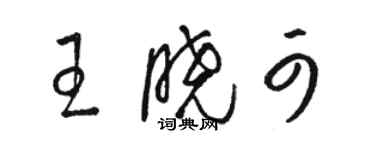 駱恆光王曉可草書個性簽名怎么寫