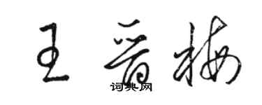 駱恆光王晉梅草書個性簽名怎么寫