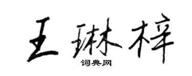 王正良王琳梓行書個性簽名怎么寫