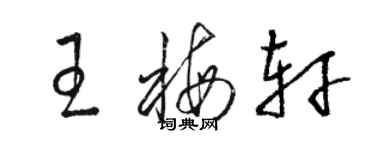 駱恆光王梅軒草書個性簽名怎么寫