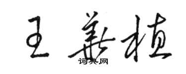 駱恆光王華植草書個性簽名怎么寫