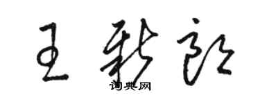 駱恆光王新朗草書個性簽名怎么寫