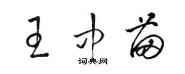 駱恆光王中苗草書個性簽名怎么寫