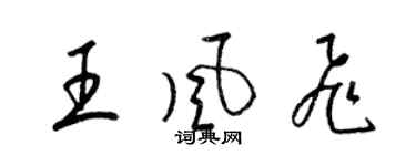 梁錦英王風飛草書個性簽名怎么寫