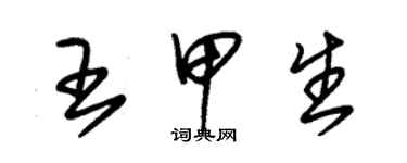 朱錫榮王甲生草書個性簽名怎么寫