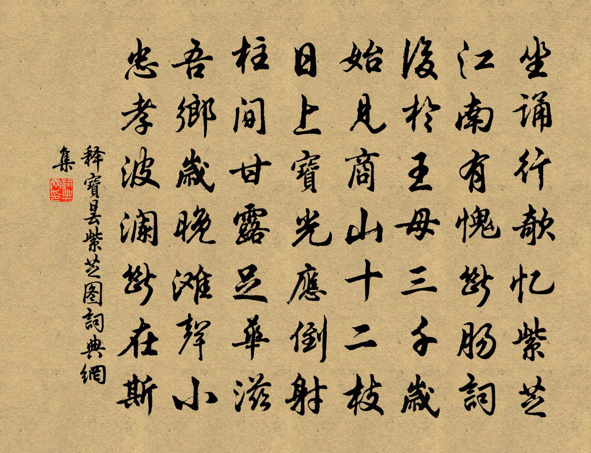 釋寶曇紫芝圖書法作品欣賞
