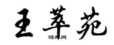 胡問遂王萃苑行書個性簽名怎么寫