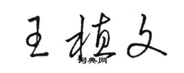 駱恆光王植文草書個性簽名怎么寫